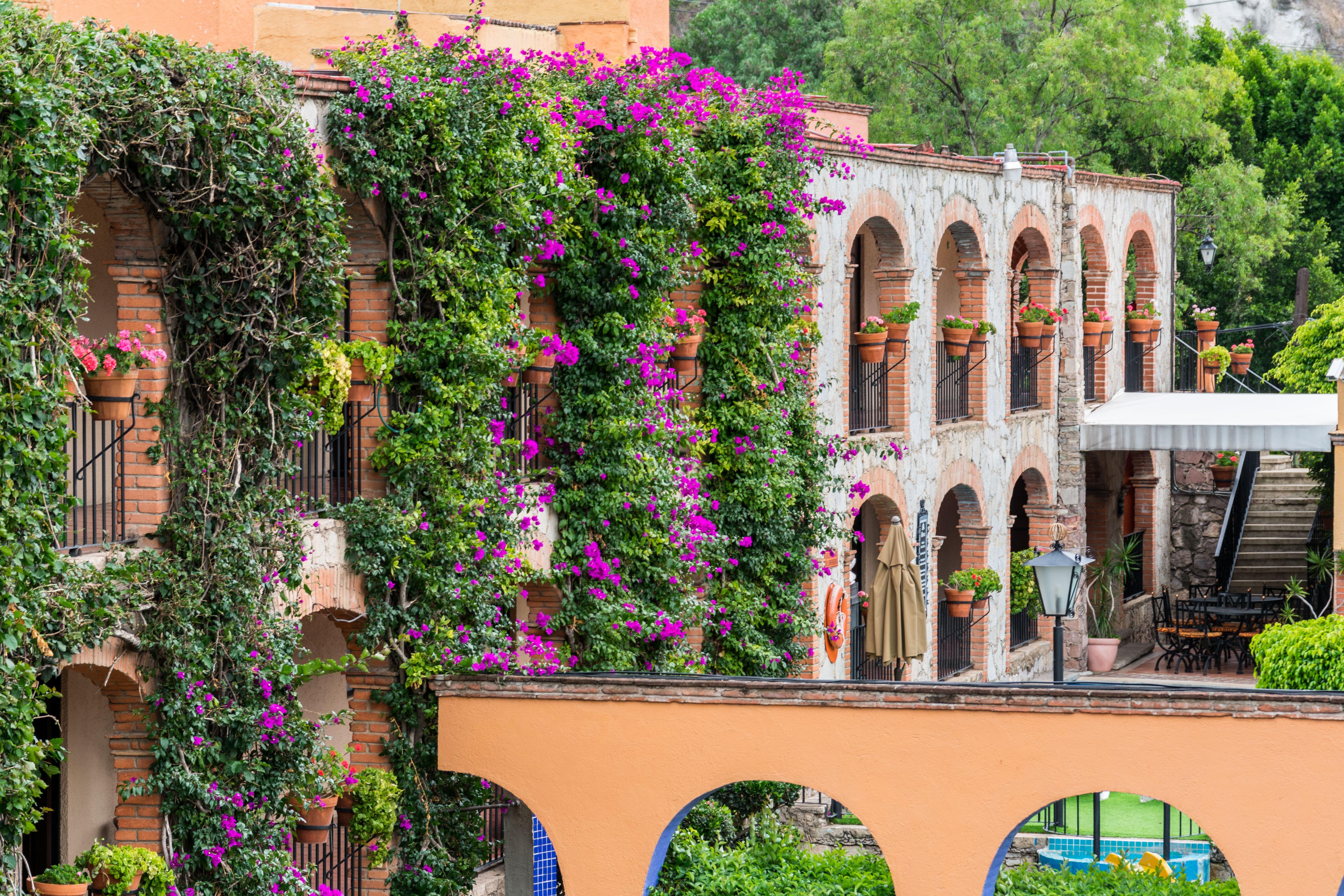 Hotel Abadia Plaza Guanajuato Exteriör bild
