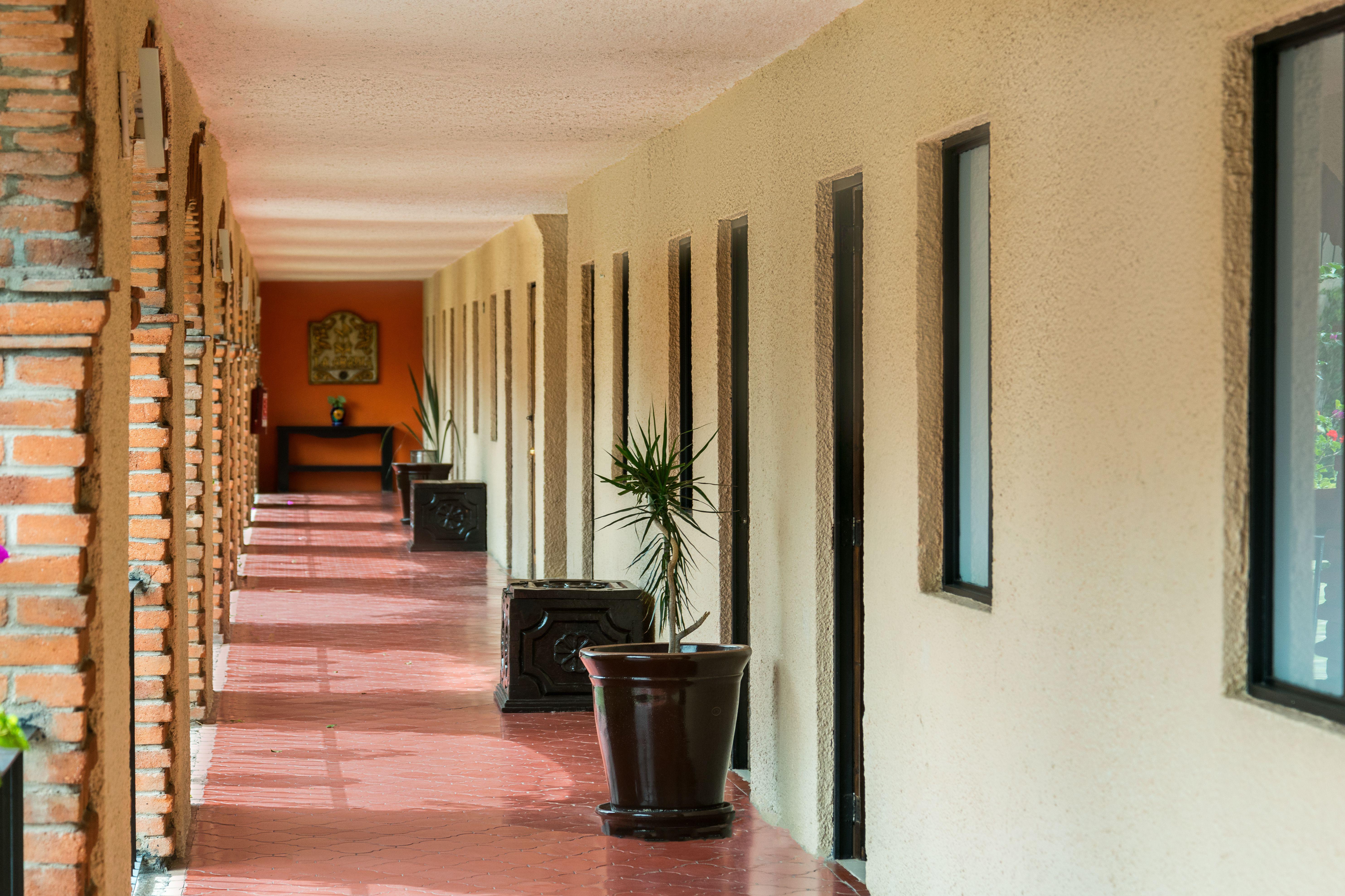 Hotel Abadia Plaza Guanajuato Exteriör bild