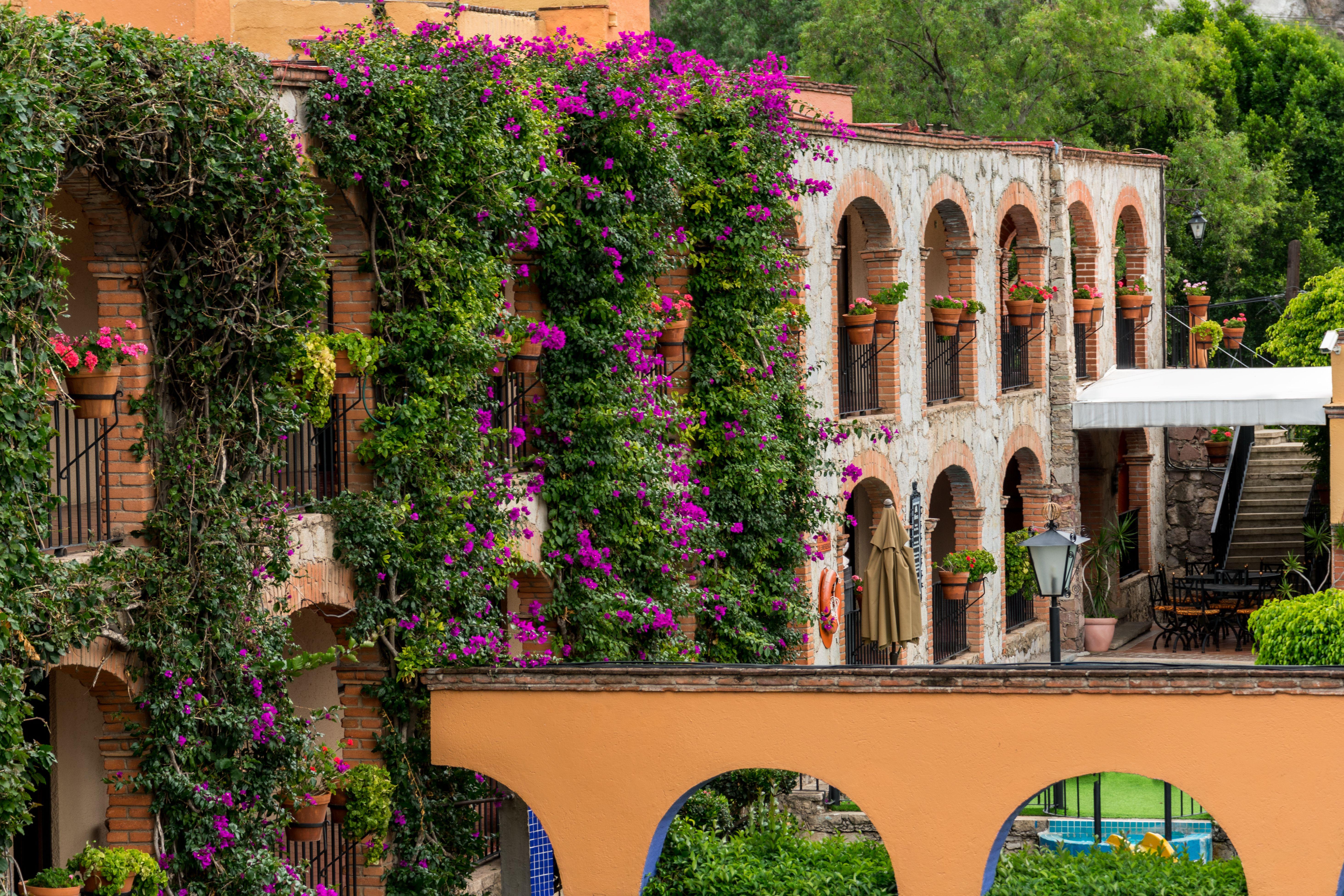 Hotel Abadia Plaza Guanajuato Exteriör bild