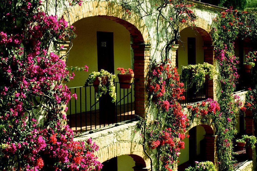 Hotel Abadia Plaza Guanajuato Exteriör bild